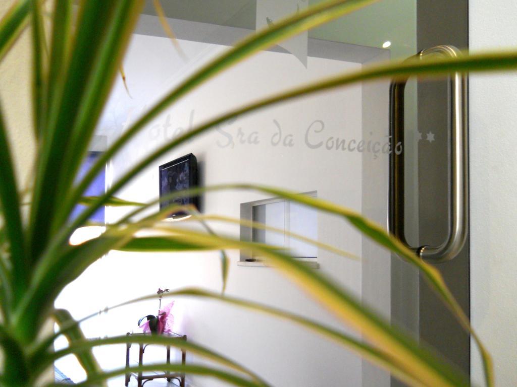 Hotel Sra Da Conceicao Praia de Mira Extérieur photo